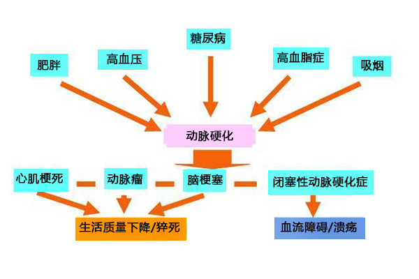動脈硬化形成之前已暗藏癥狀,如何提早發現身體出現的信號,做到早發現早預防。